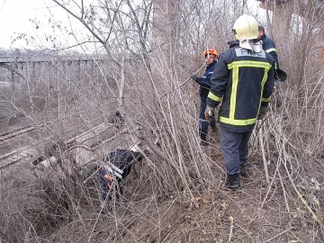 Буболечката оцеля в катастрофа
