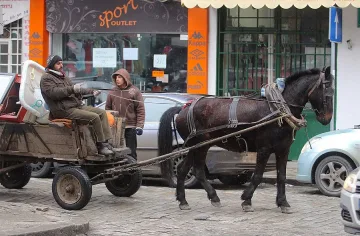 Берлин ни готви визи (обобщение)