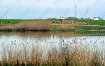 Задържаха "чудовищата" от езерото край Скопие  