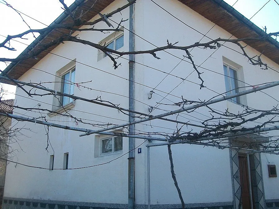 Погребват Дани на рождения й ден