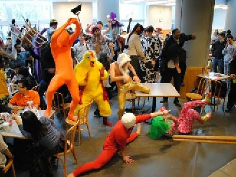 Харлем Шейк стана и бунтарски