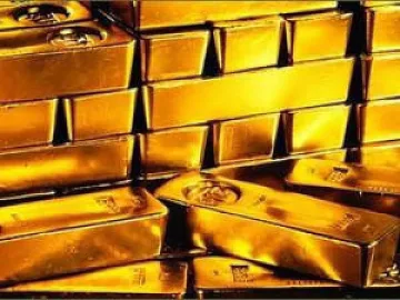 Златотърсачи палят война в Брезник   