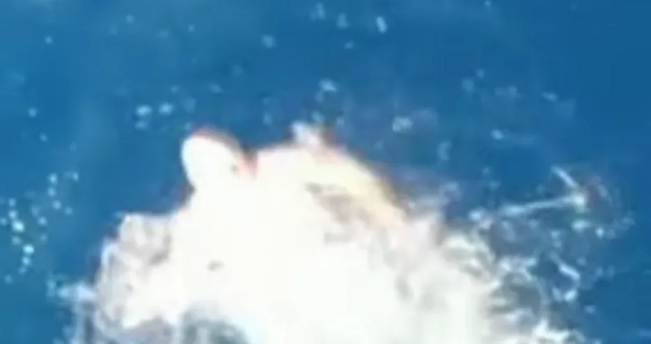 Робър Де Ниро изуми! Какво направи на 81 години