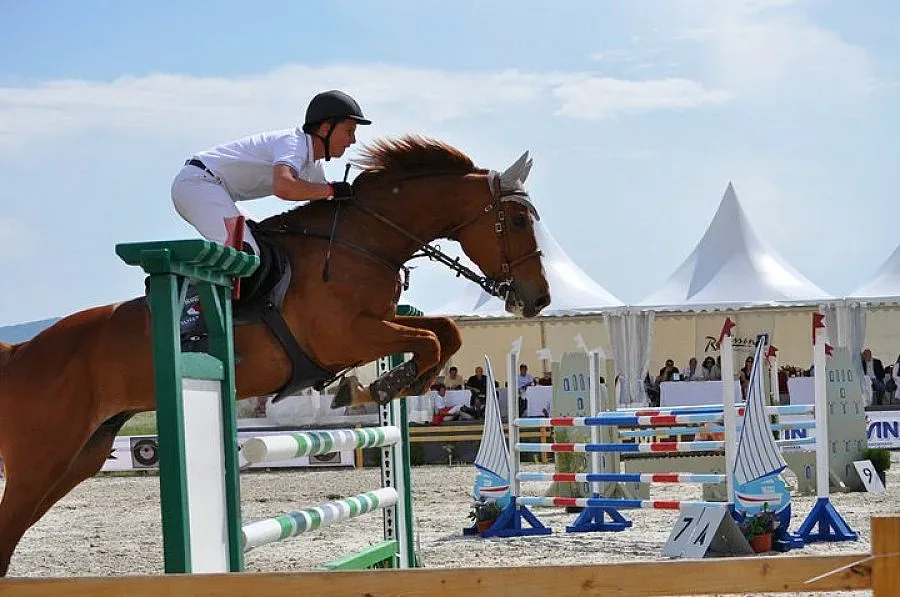 Гергов договоря конни турнири със съседите 