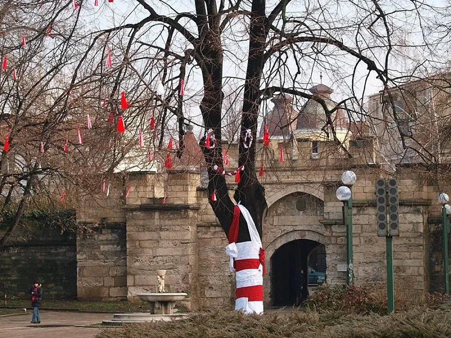 Правят дърво на Баба Марта
