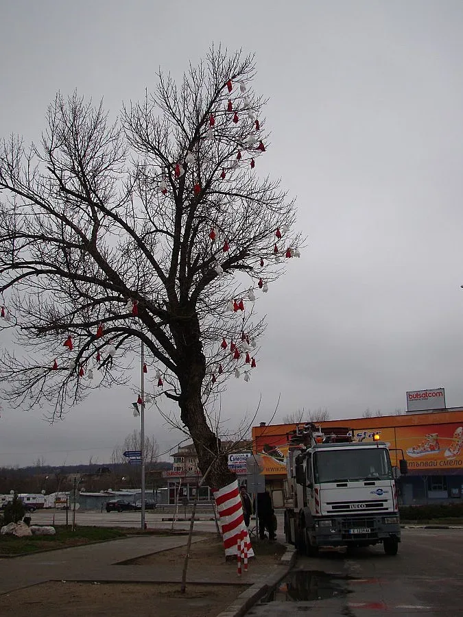 Димитровград с дървета - мартеници