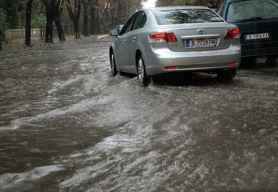 Порой съсипва кюстендилските ябълки