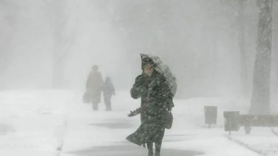 Словакия в снежен капан