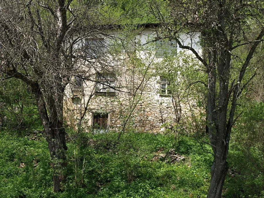 Столичани и чужденци окупират безлюдна село