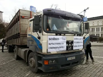 Прасетата пред парламента били в стрес