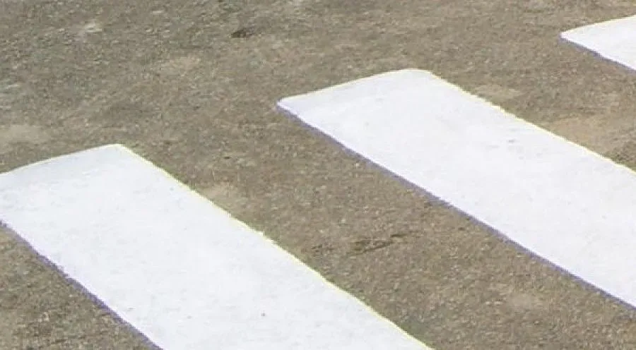 Пиян блъсна две деца на зебра