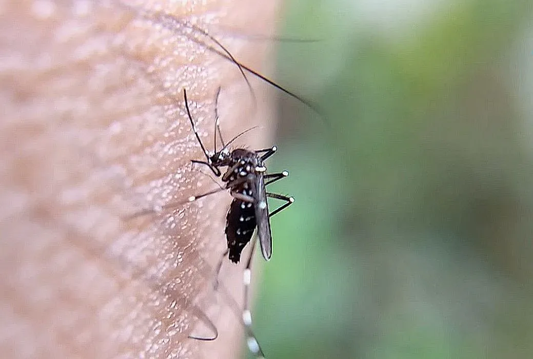 Кантарджиев ни плаши с нов вирус! Няма ваксина срещу него