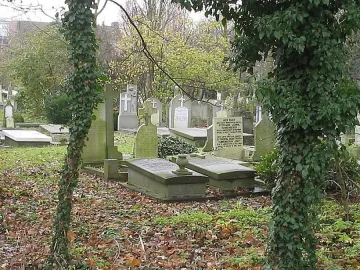 Бездомник спи в гроб от 15 години   