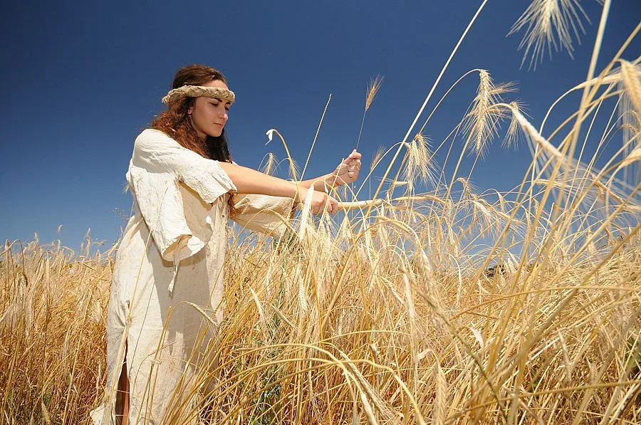 Дават парите на земеделците