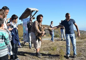 ЕС дава пари за египетския лешояд  