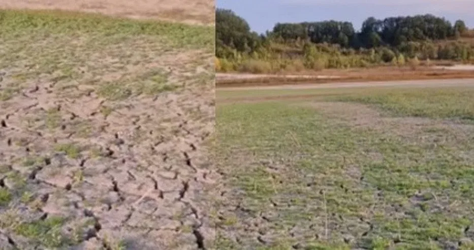 Шокиращо. Пресъхна голям язовир у нас!