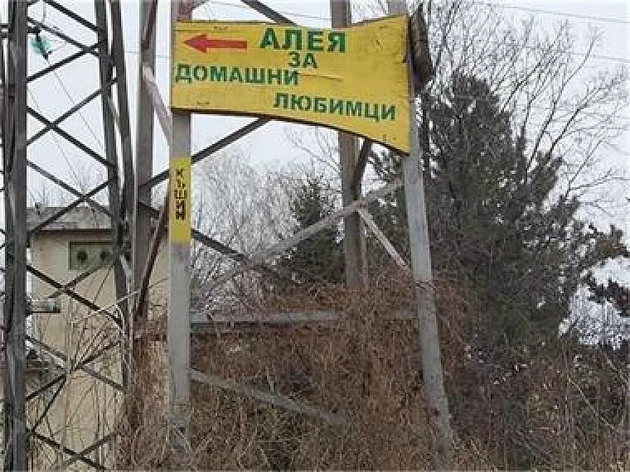50 бона за кучешки алеи край морето
