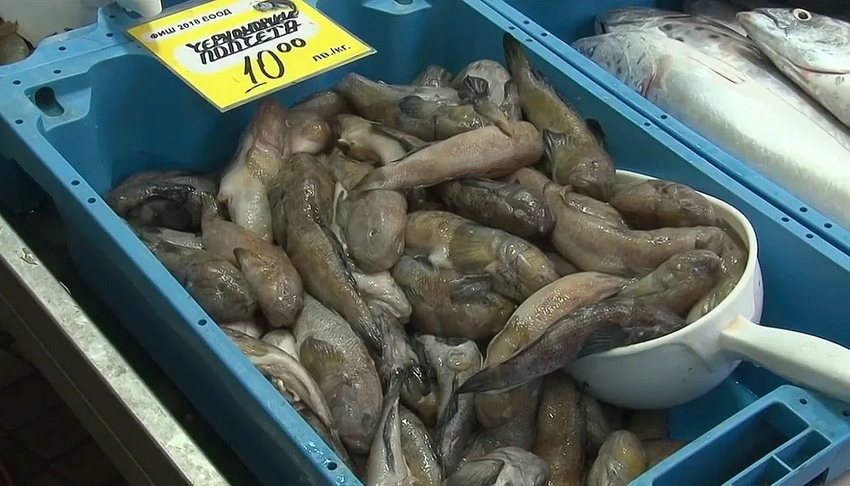 Най-обичаната риба изчезна от пазара по морето. Рибари се оплакват