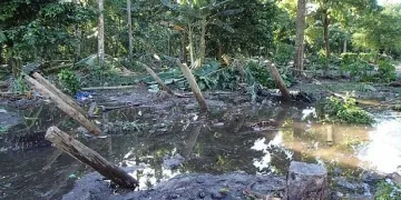 Нов силен трус люля Соломоновите острови 