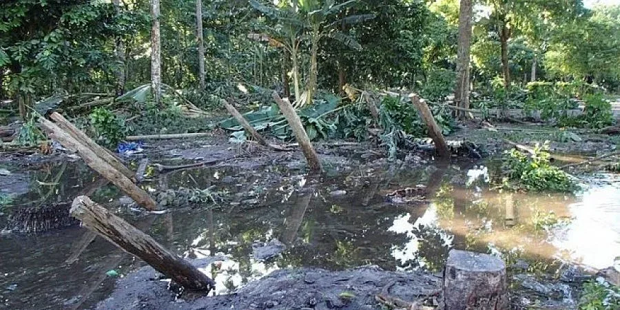 Нов силен трус люля Соломоновите острови 