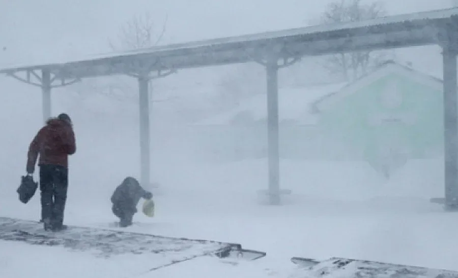 Снегът остави 650 000 без ток в САЩ