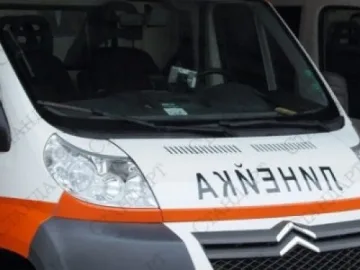 Кучета нахапаха двама мъже в парка