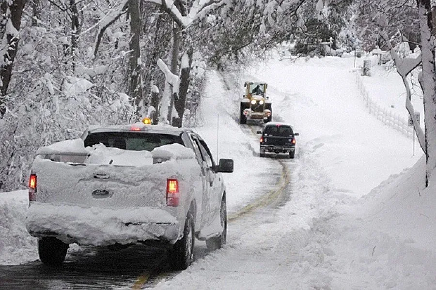 "Немо" отмени 3000 полета