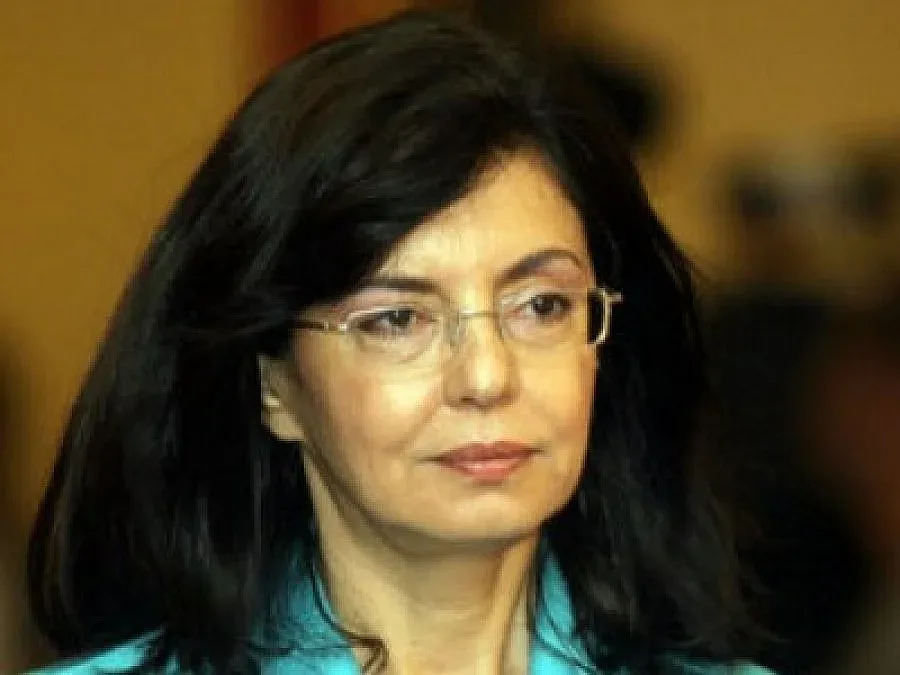 Кунева иска референдум за Велико народно събрание