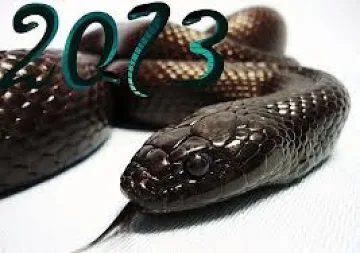 Годината на змията носи катастрофи