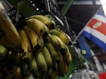 Банани с кока в белгийски супери