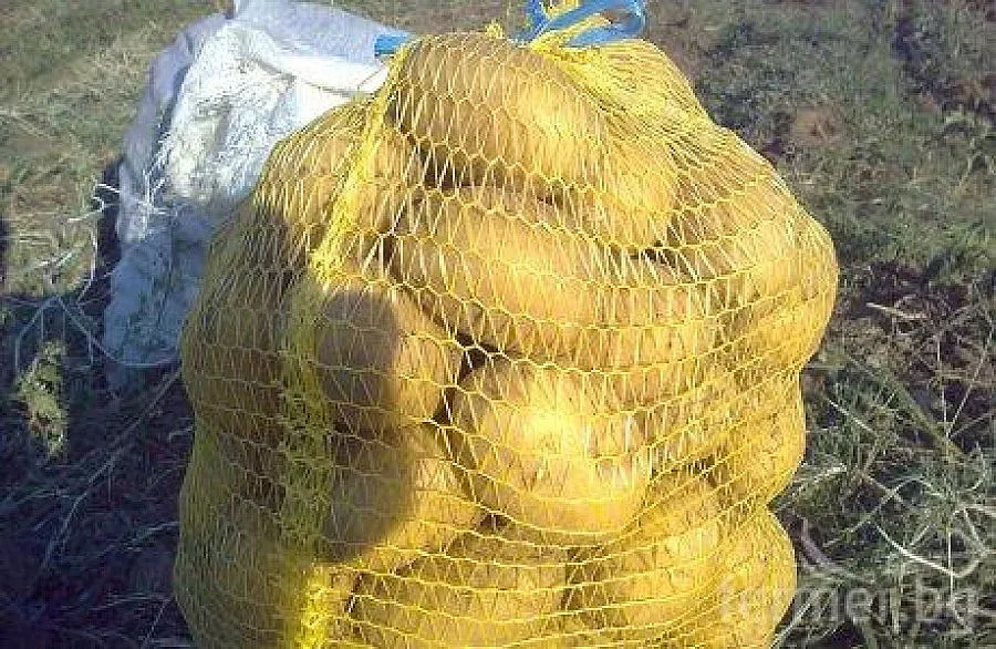 Картофите скочиха с 65% за година