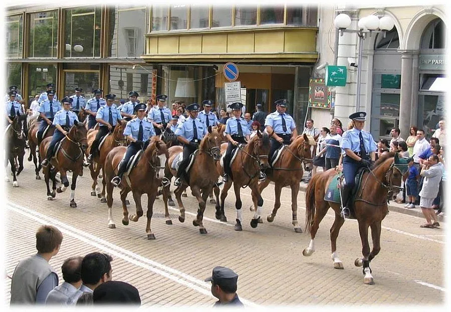 Родната полиция пази от врачки във Фейсбук