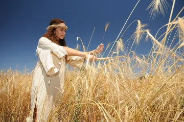 Чакат богата реколта заради времето