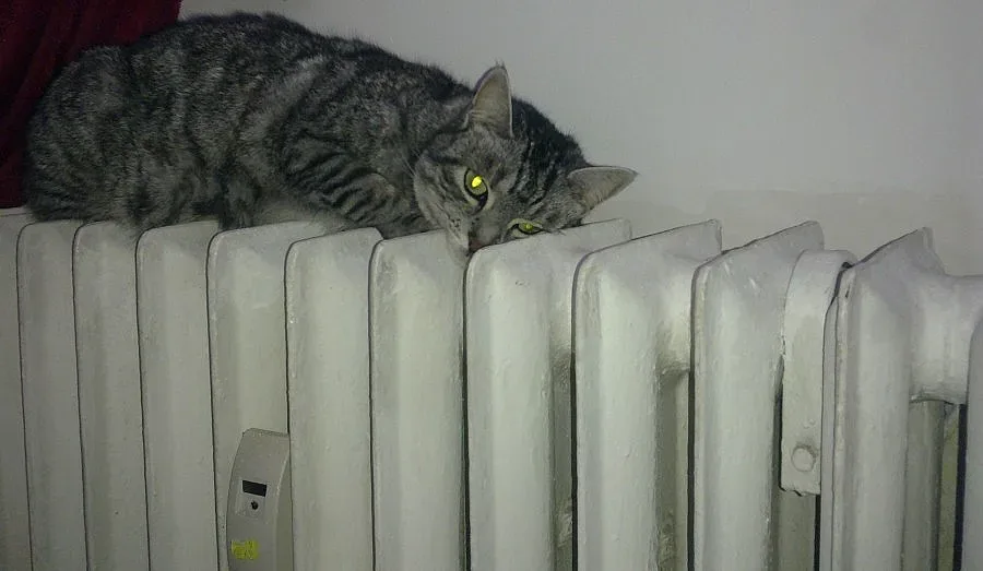 Днес казват за скъпото парно