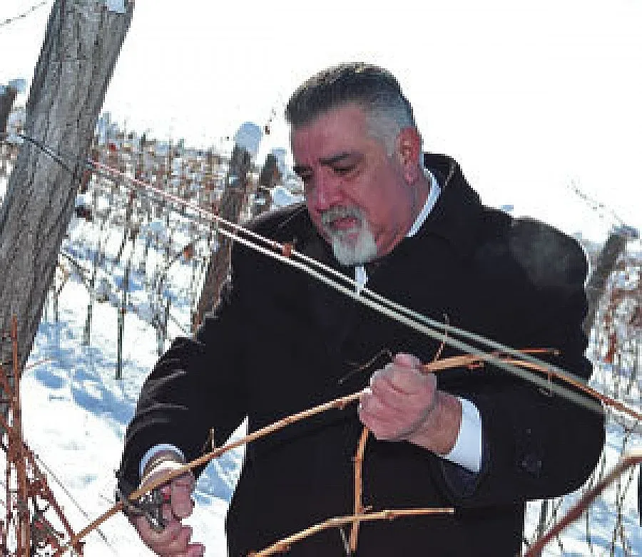 Кмет зарязва лозя край Дъбрава