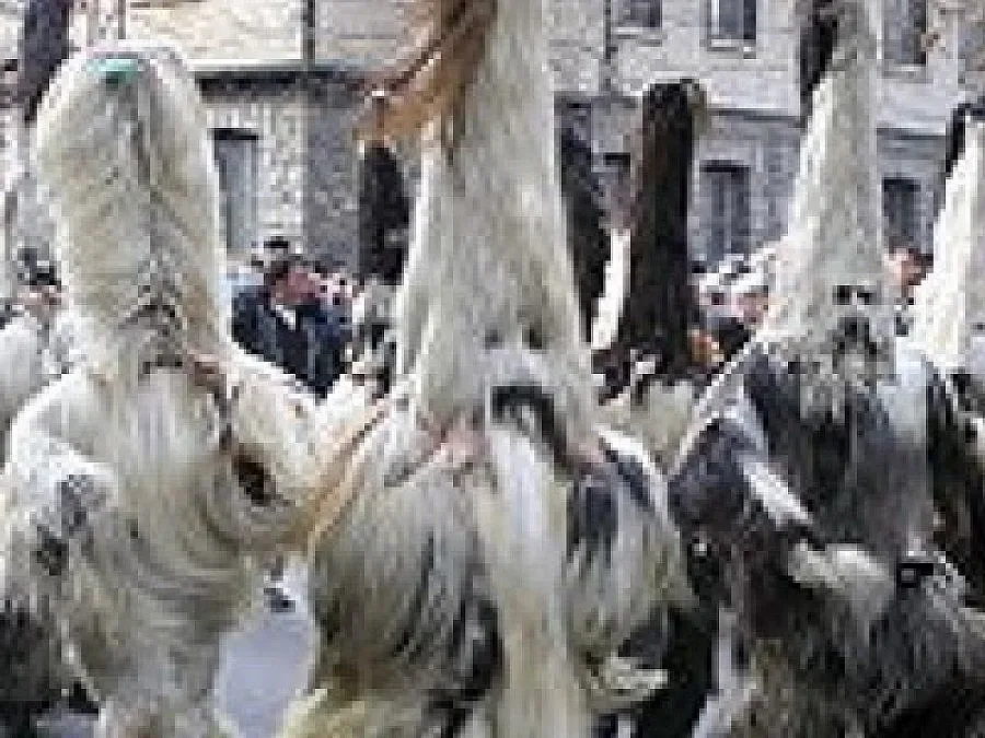 Еколози погнаха кукери за животински кожи