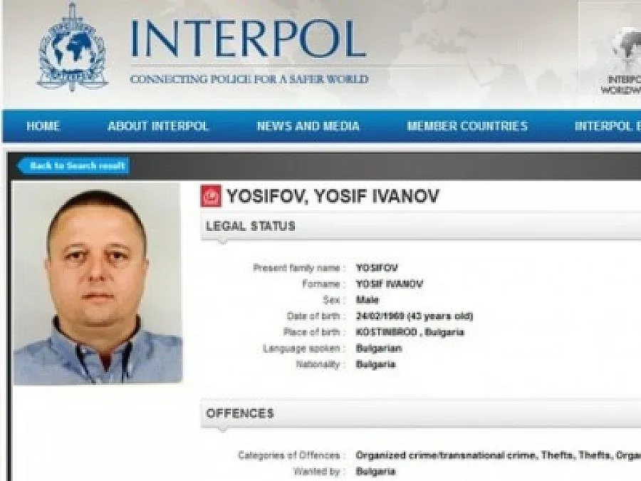 Гледат под лупа пищовите на Йоско