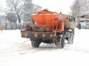 Снегорин кара бременна в болницата