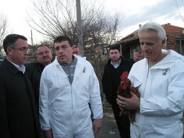 Азис праща багери за мъртвите кокошки