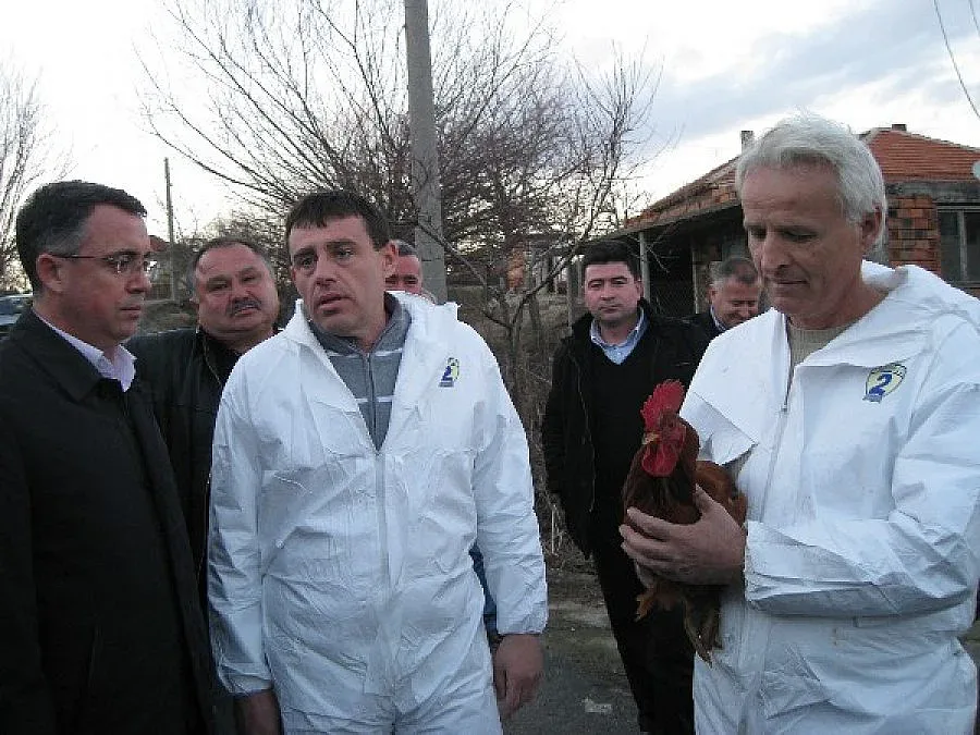 Азис праща багери за мъртвите кокошки