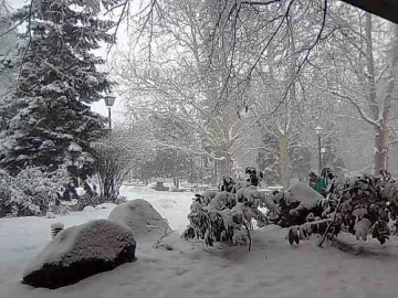 Студът се завръща