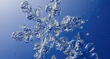 Руският студ взе 207 жертви