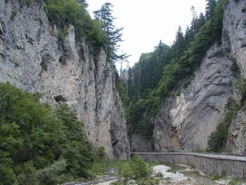 Пазят природата с европари