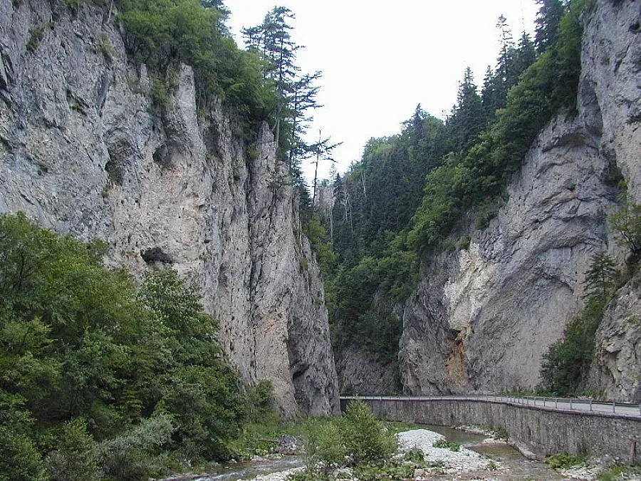 Пазят природата с европари