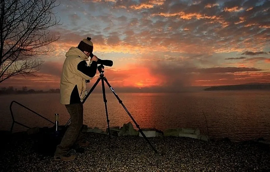 Бракониери трепят защитени птици