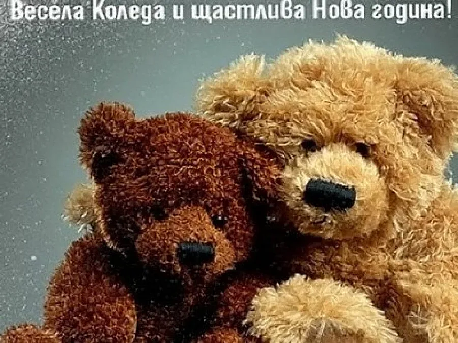 "Българската Коледа" събра над 2 милиона