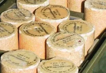 Натъпкаха ливада с тротил за два атентата