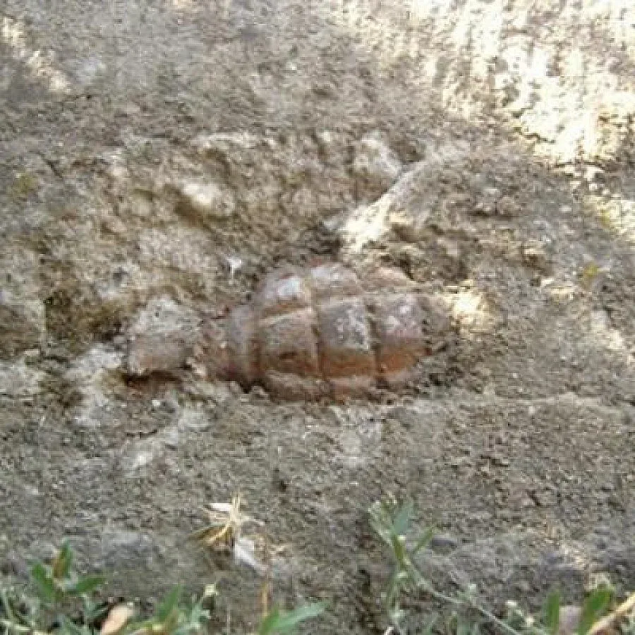 Намериха гранати на пътя за Котел