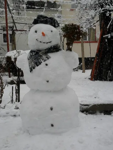 Пиян отвлече снежен човек
