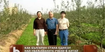 Китай сменя оризовите плантации с БГ ябълки